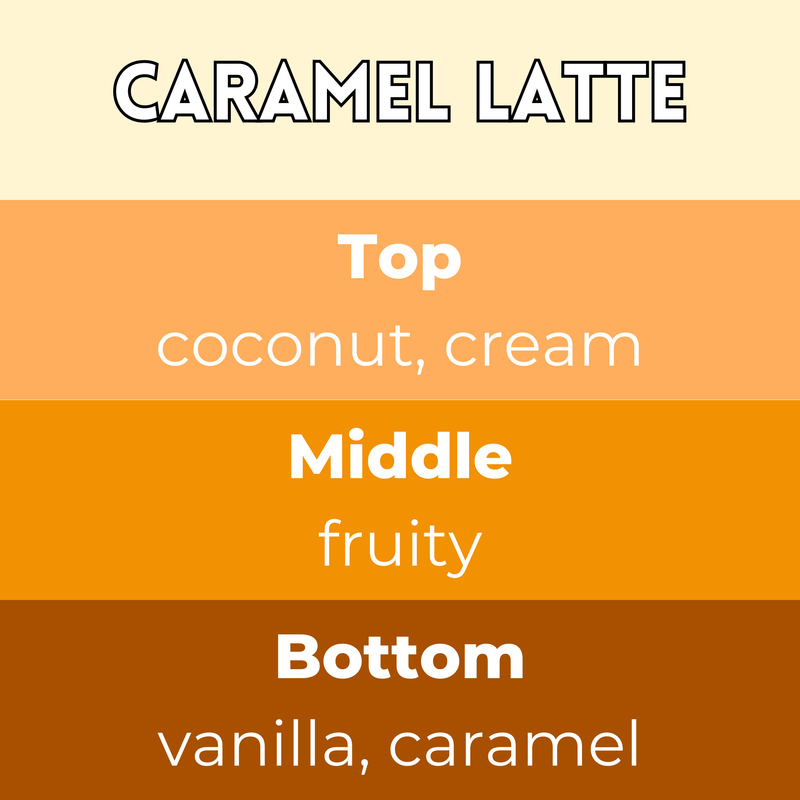 Caramel Latte Segment Wax Melt - Something Different Gift Shop