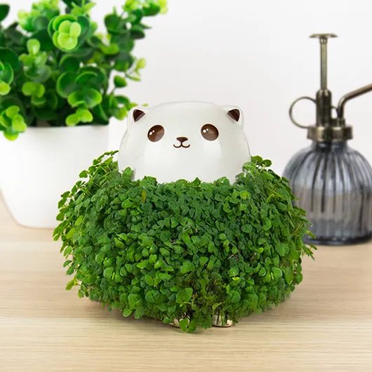 Cute ceramic cat chia planter with full green leafy coat on wooden desk