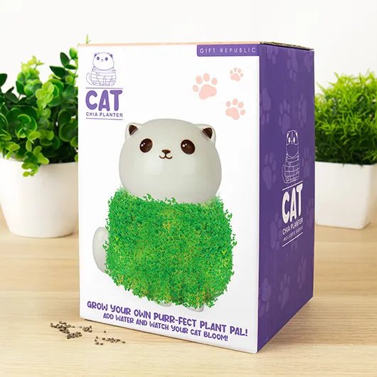 Cat chia planter gift box on desk with plants and scattered chia seeds