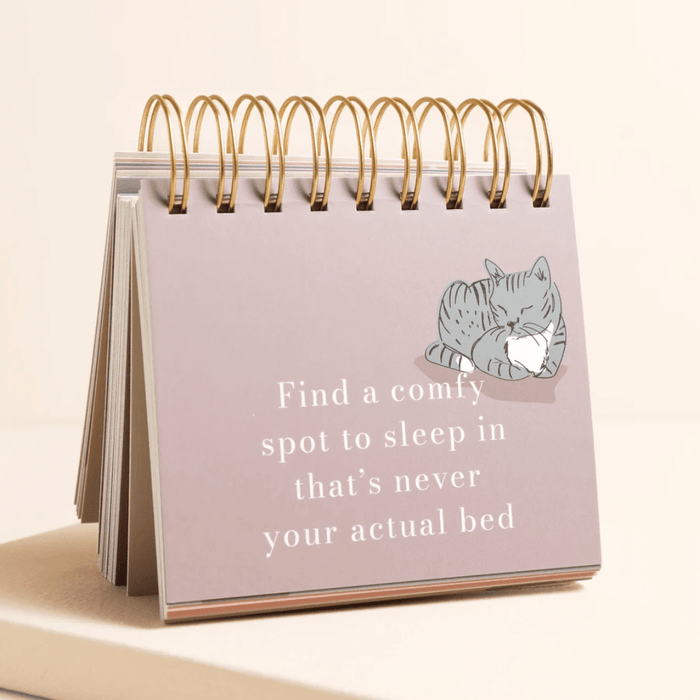 Be More Cat desktop flip chart showing a mauve page with a curled-up cat illustration and a quote about sleeping anywhere but your bed.