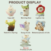 Cat PAI Vibrant Life blind box character lineup with regular and secret designs