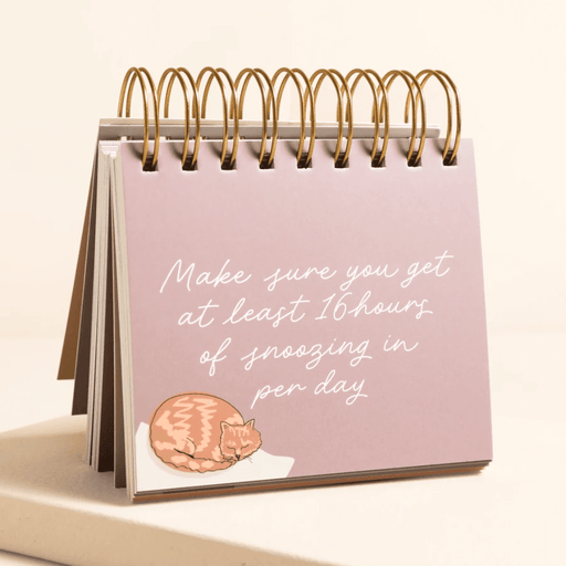 Be More Cat desktop flip chart showing a lilac page with a sleeping cat illustration and 16 hours of snoozing quote.