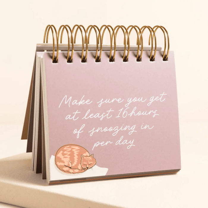 Be More Cat desktop flip chart showing a lilac page with a sleeping cat illustration and 16 hours of snoozing quote.