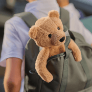 Charlie Bear plush teddy travelling in a child’s backpack