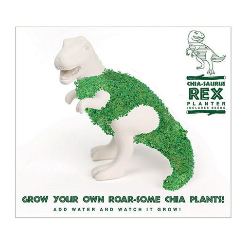 Chia-Saurus Rex planter packaging with slogan grow your own roar-some chia plants