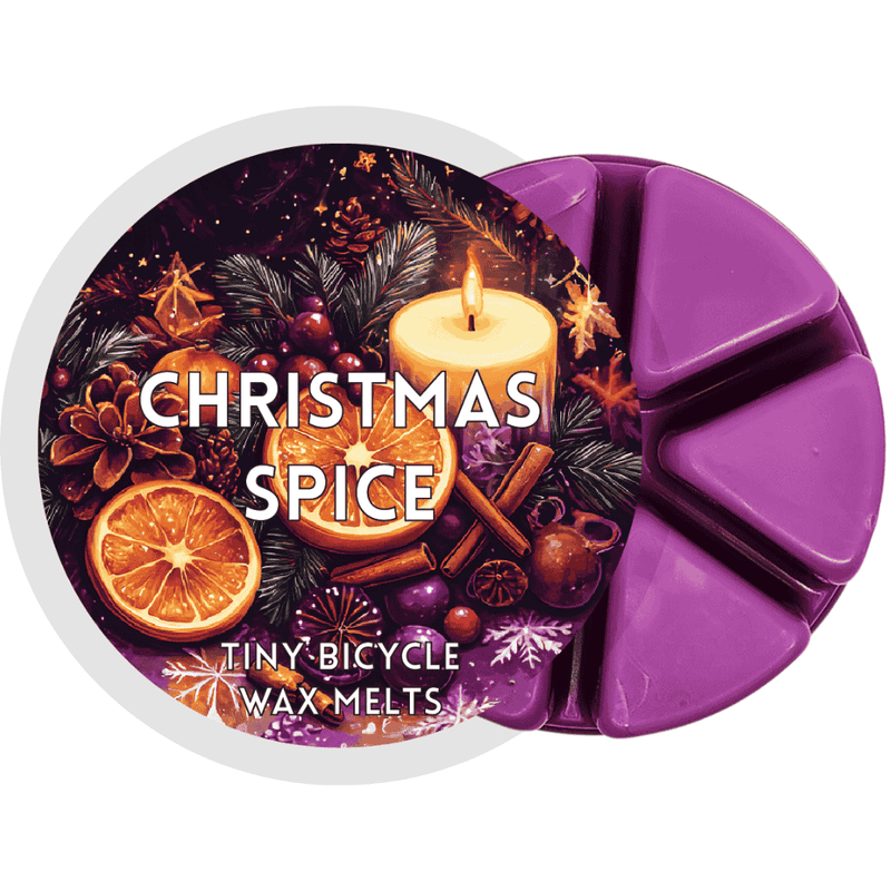 Christmas spice spiced wax melt product image

