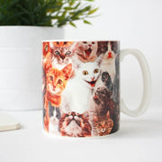 Crazy Cat Lady Mug - Something Different Gift Shop