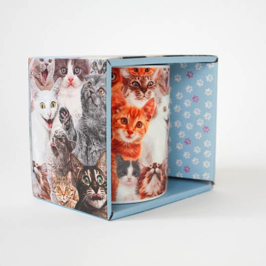 Crazy Cat Lady Mug - Something Different Gift Shop