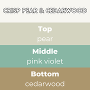 Crisp Pear & Cedarwood Segment Wax Melt - Something Different Gift Shop