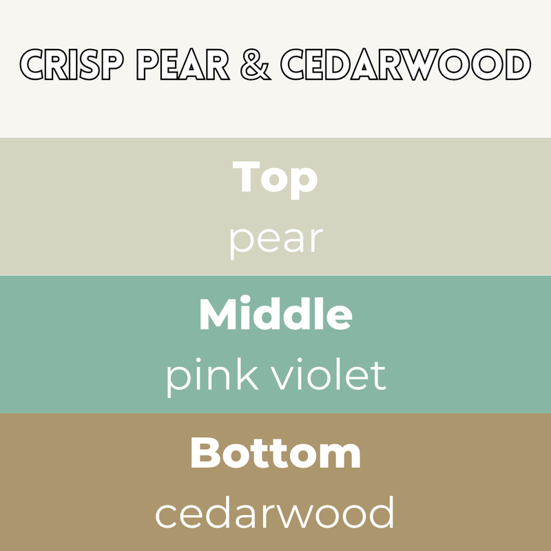 Crisp Pear & Cedarwood Segment Wax Melt - Something Different Gift Shop
