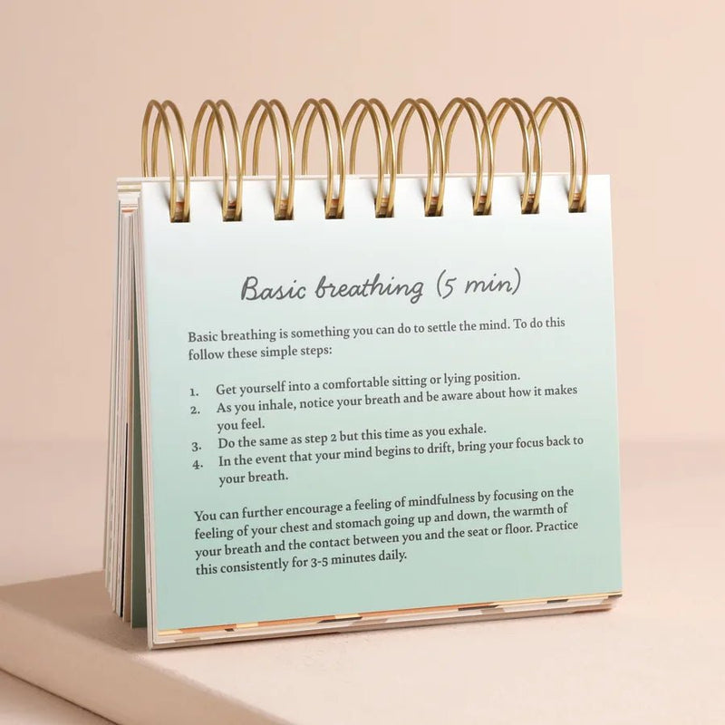 Daily Mindfulness Flip Chart - Something Different Gift Shop