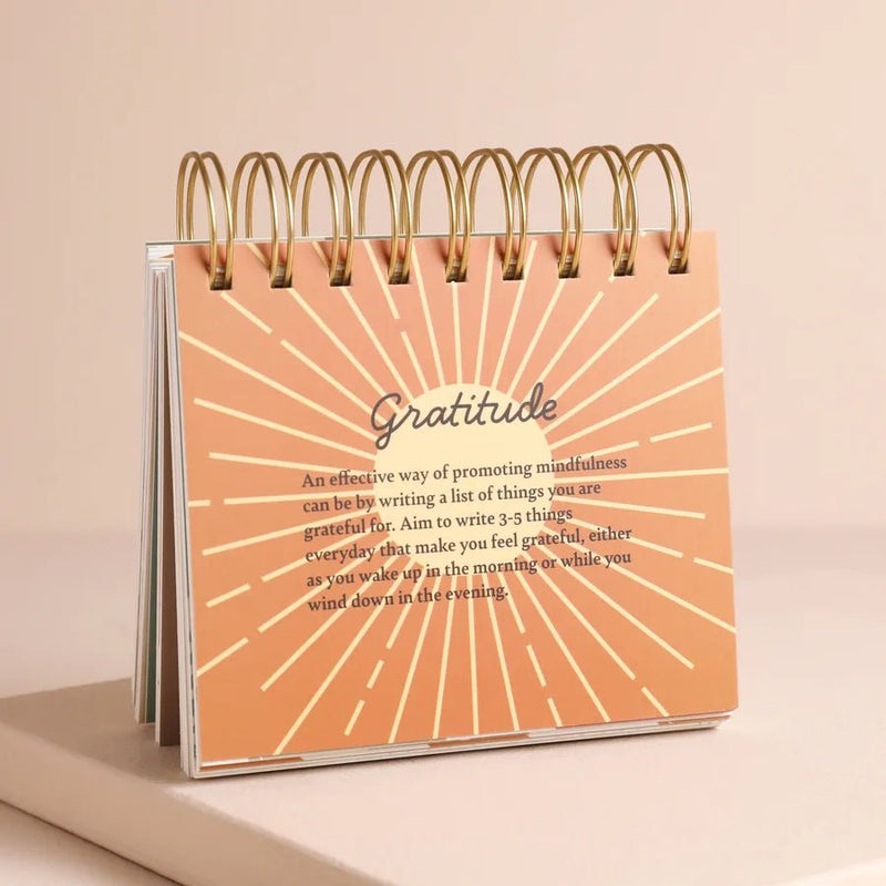 Daily Mindfulness Flip Chart - Something Different Gift Shop