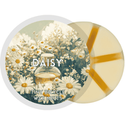 Daisy Segment Wax Melt - Something Different Gift Shop
