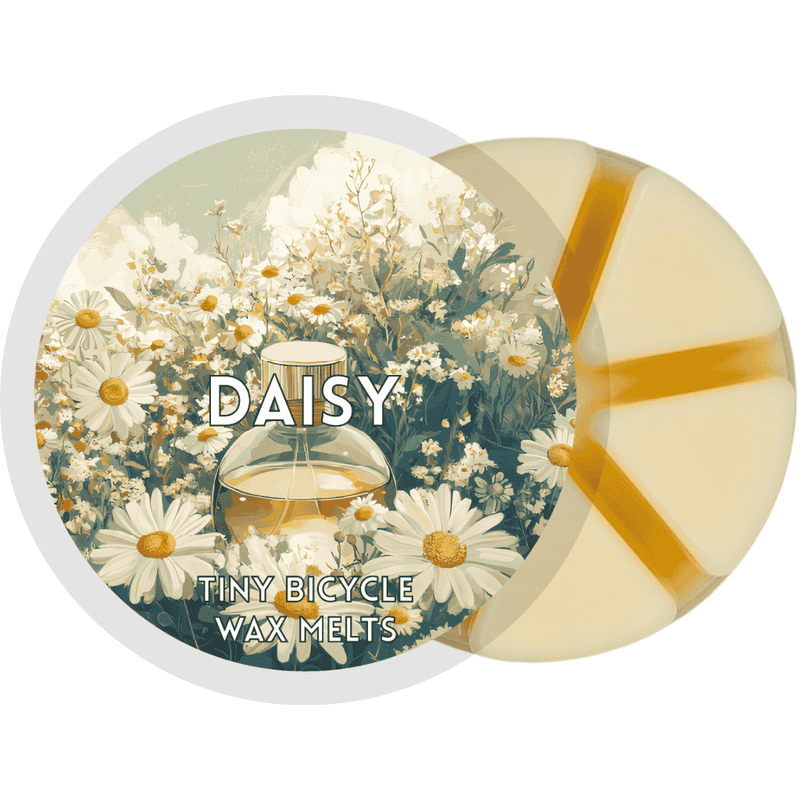 Daisy Segment Wax Melt - Something Different Gift Shop