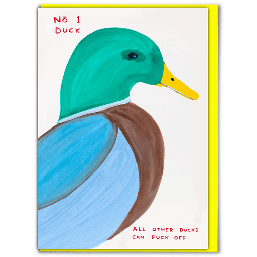 David Shrigley No. 1 Duck rude birthday card with colourful mallard illustration