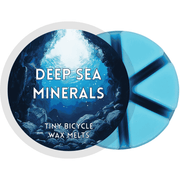 Deep Sea Minerals Segment Wax Melt - Something Different Gift Shop