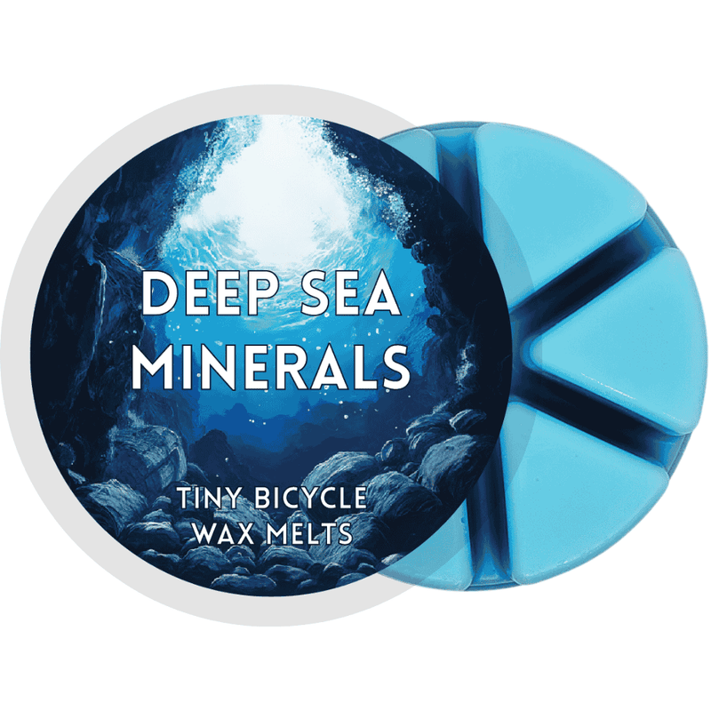 Deep Sea Minerals Segment Wax Melt - Something Different Gift Shop