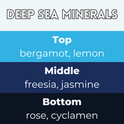 Deep Sea Minerals Segment Wax Melt - Something Different Gift Shop
