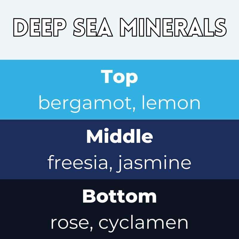Deep Sea Minerals Segment Wax Melt - Something Different Gift Shop