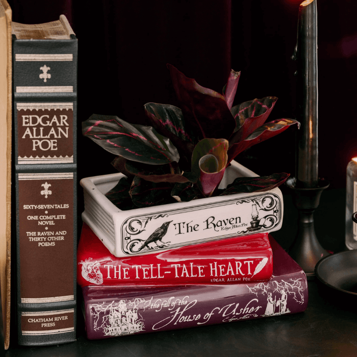 Edgar Allan Poe stacked books ceramic planter styled with a plant on a dark shelf
