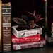 Edgar Allan Poe stacked books ceramic planter styled with a plant on a dark shelf