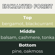 Enchanted Forest scent card with wax melt fragrance details and themed background