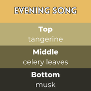 Evening Song Segment Wax Melt - Something Different Gift Shop