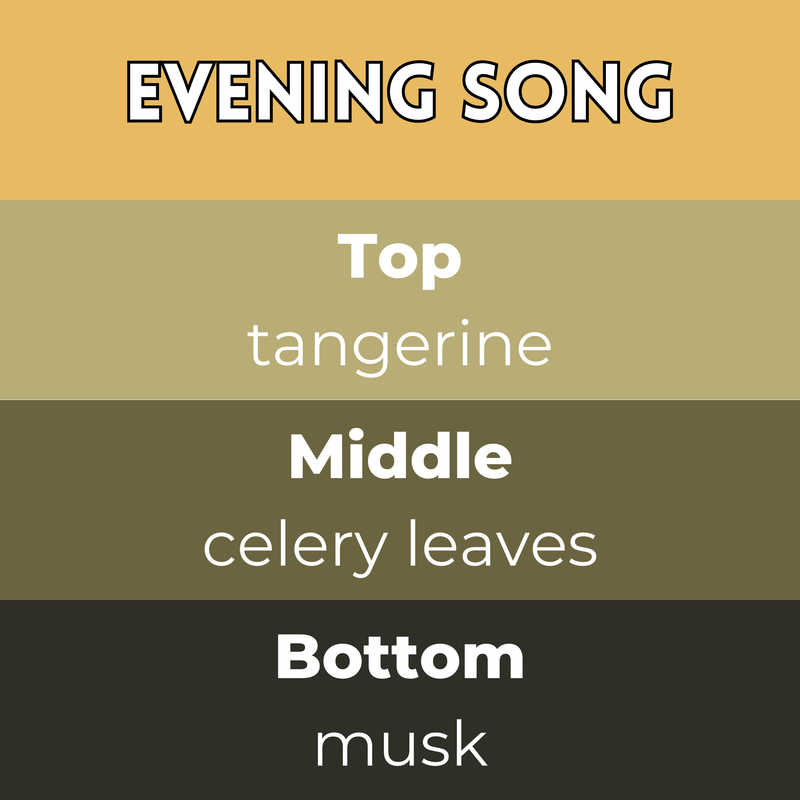 Evening Song Segment Wax Melt - Something Different Gift Shop