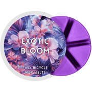 Exotic Bloom Segment Wax Melt - Something Different Gift Shop