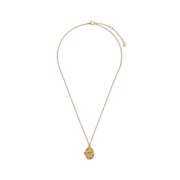 Full Fable England gold Robin and Blackberry Locket Necklace showing delicate chain and oval bird pendant