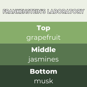 Frankenstein's Laboratory Segment Wax Melt - Something Different Gift Shop