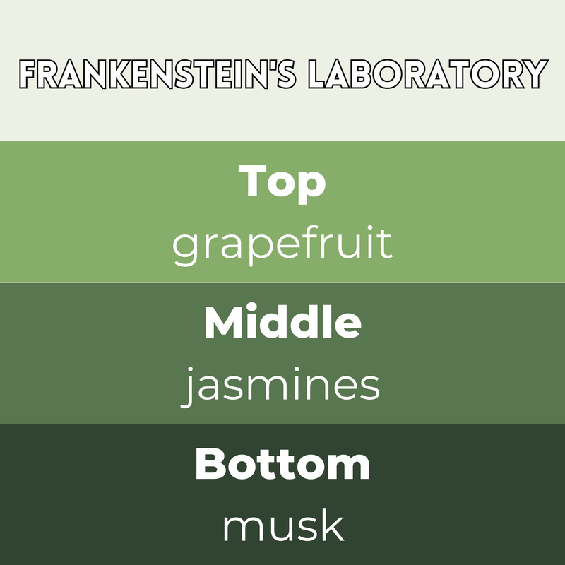 Frankenstein's Laboratory Segment Wax Melt - Something Different Gift Shop