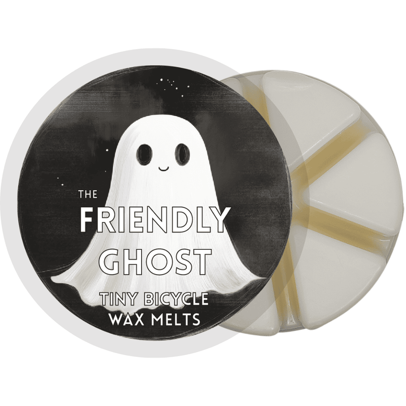 Friendly Ghost Segment Wax Melt - Something Different Gift Shop