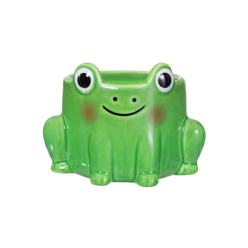 Frog Mini Planter - Something Different Gift Shop