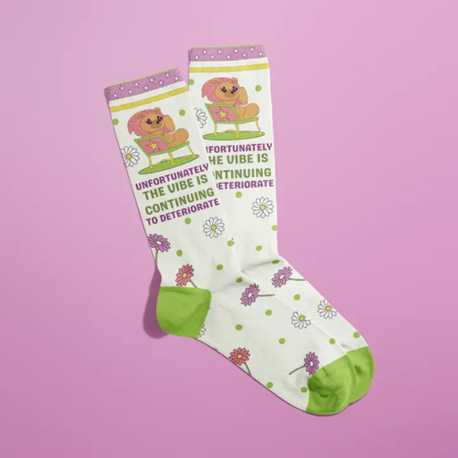Fun Club funny slogan socks with green heel and toe, daisy print and teddy illustration