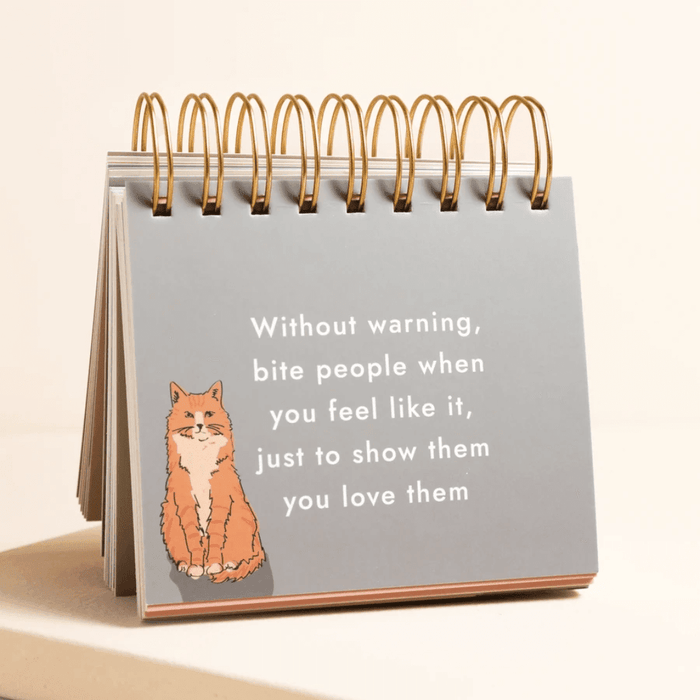 Be More Cat desktop flip chart showing a grey page with an orange cat illustration and a humorous quote about biting people.
