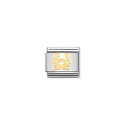 Nomination Classic Link with yellow-gold Gemini twins on stainless steel