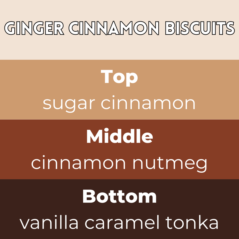 Ginger Cinnamon Biscuits wax melt scent card with sugar cinnamon top, cinnamon nutmeg middle and vanilla caramel tonka base notes