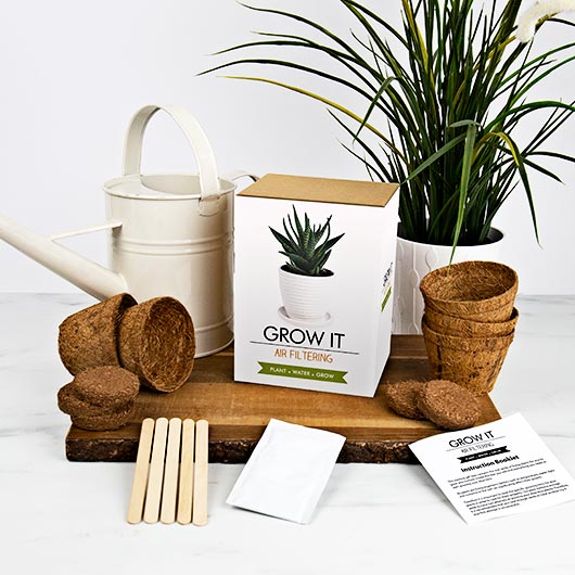 Grow It Air Filtering Aloe vera grow kit displayed with watering can, pots and plants on wooden board