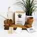 Grow It Air Filtering Aloe vera grow kit displayed with watering can, pots and plants on wooden board
