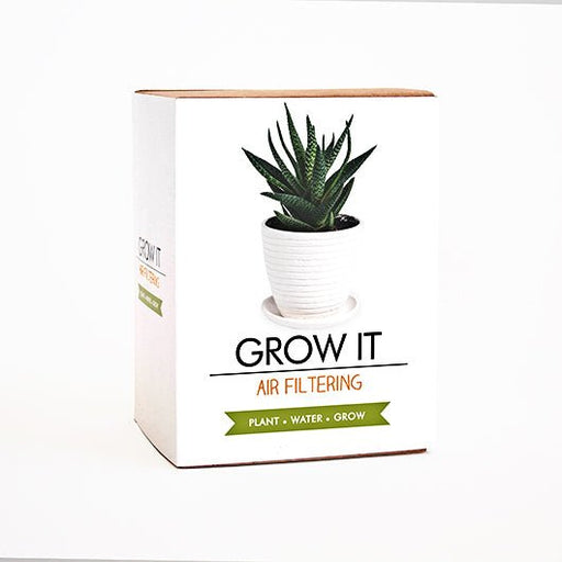 Grow It Air Filtering Aloe vera plant kit box standing on white background