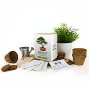 Grow It Bonsai Trees kit displayed with fibre pots, compost discs, watering can and plant