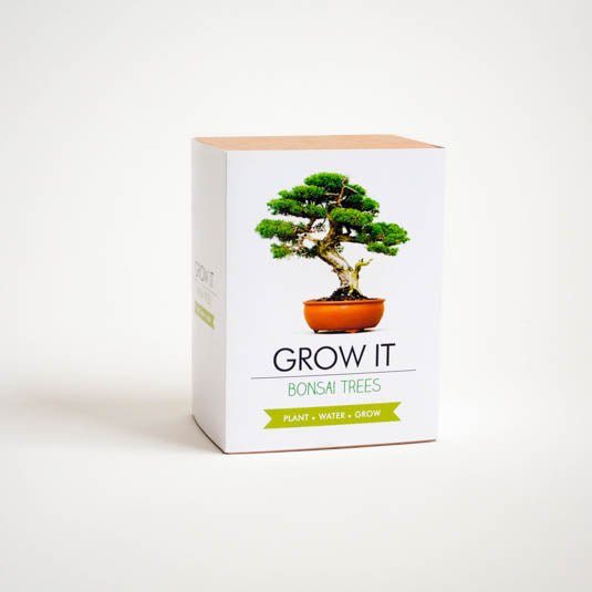 Grow It Bonsai Trees gift kit box with illustrated bonsai on white background