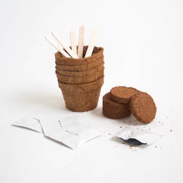 Contents of Grow It Cactus grow kit with fibre pots, compost discs, seeds and wooden markers