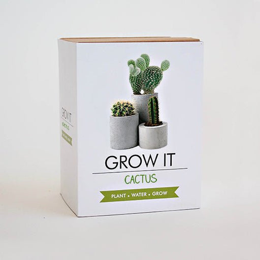Grow It Cactus plant kit gift box with illustrated potted cacti on white background