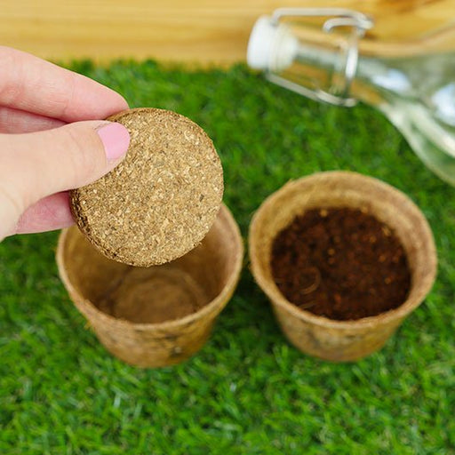Hand placing expanding compost disc into a coconut husk pot from the Grow It carnivorous plants kit