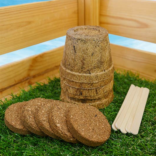 Coconut husk pots, compost discs and wooden plant markers from carnivorous plants kit on grass