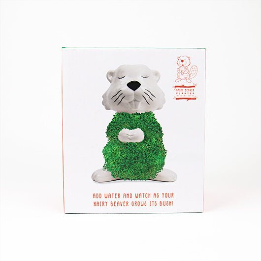 Hairy Beaver chia planter gift box showing green coated beaver and slogan