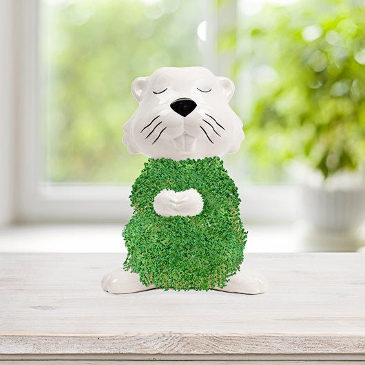 Hairy Beaver chia planter with full green coat on a windowsill