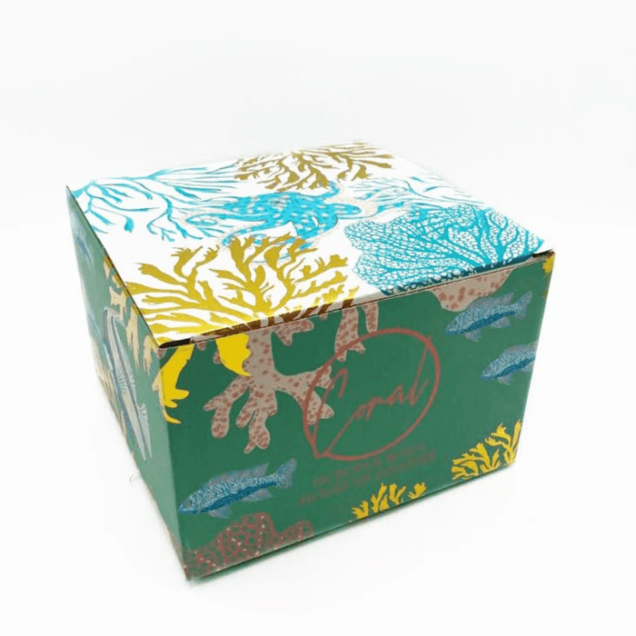 Gift box packaging for the Coral Octopus Bowl with matching sea-life artwork